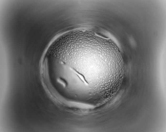 X0000098101099200804111018