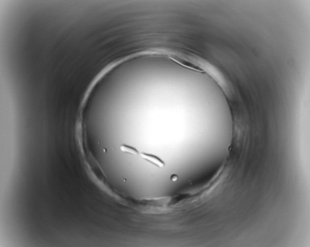 X0000098101100200804111018