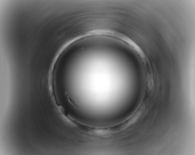X0000098101102200804111018