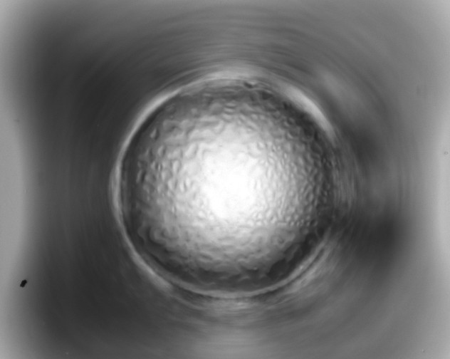 X0000098101103200804111018