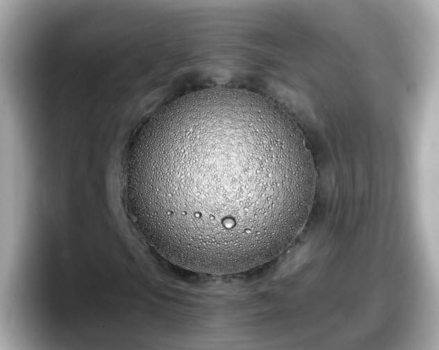 X0000098101105200804111017