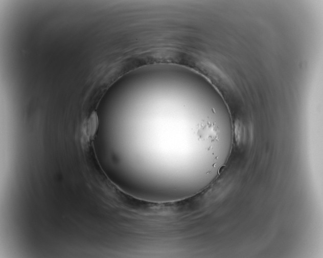 X0000098101107200804111017