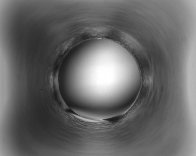 X0000098101108200804111017