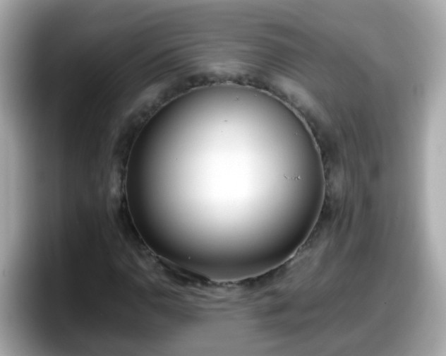 X0000098101110200804111017