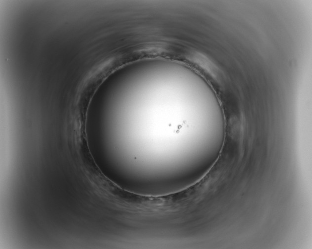 X0000098101111200804111017