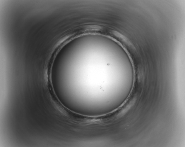 X0000098101113200804111017