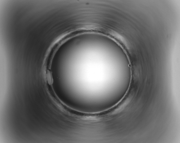 X0000098101114200804111017