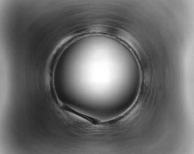 X0000098101115200804111017