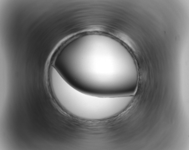 X0000098101116200804111017
