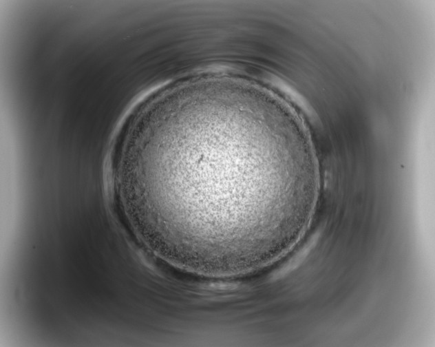 X0000098101117200804111017