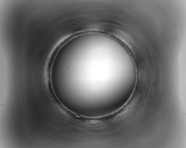 X0000098101119200804111017