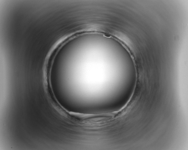 X0000098101120200804111017
