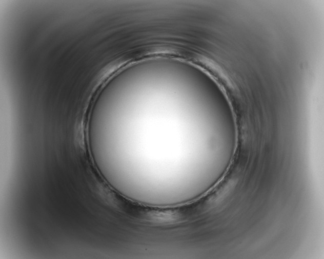 X0000098101121200804111017