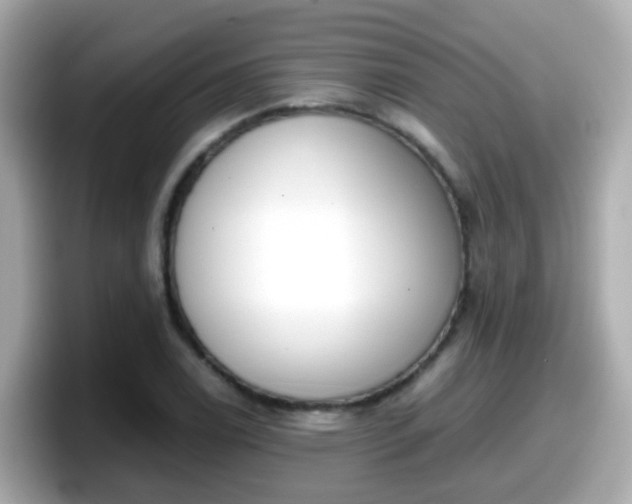 X0000098101122200804111017