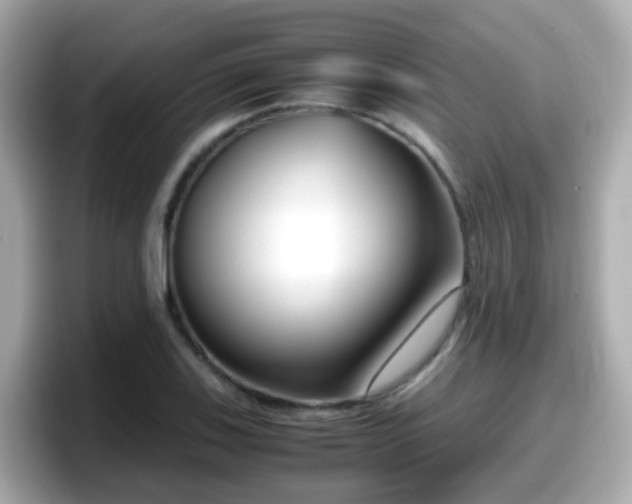X0000098101123200804111017