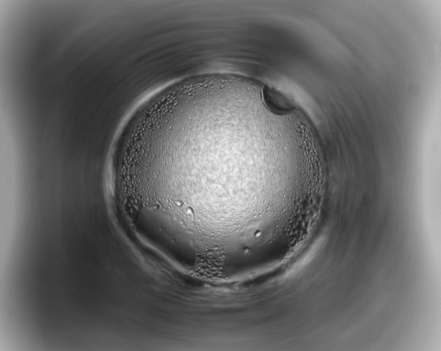 X0000098101125200804111017