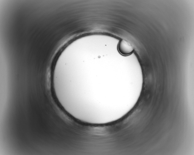 X0000098101126200804111017