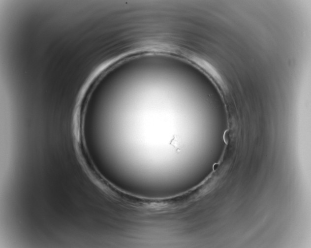 X0000098101128200804111017