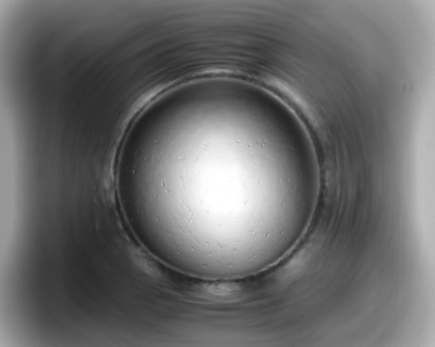 X0000098101129200804111017