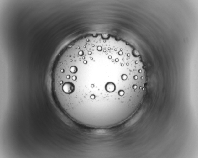 X0000098101130200804111017