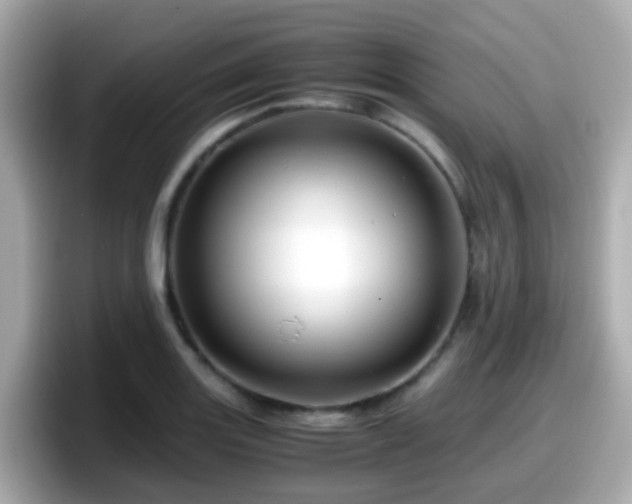 X0000098101131200804111017