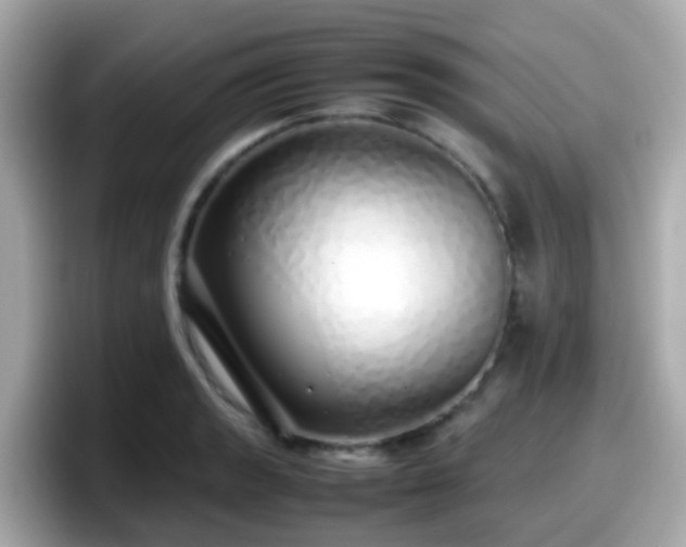 X0000098101133200804111017