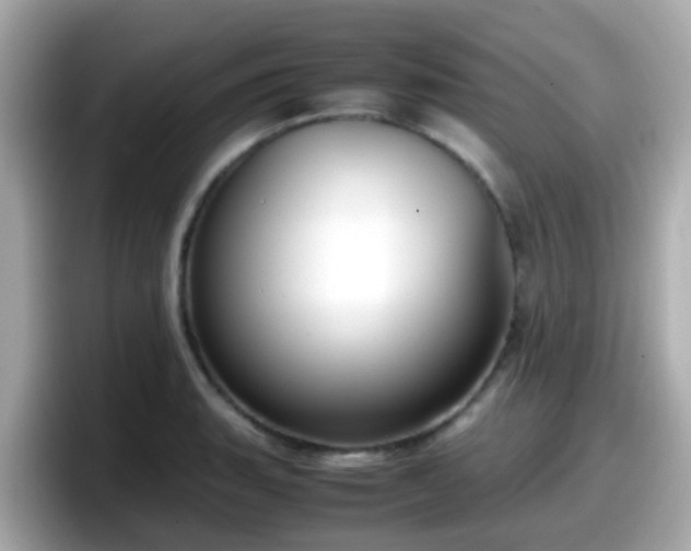 X0000098101135200804111017
