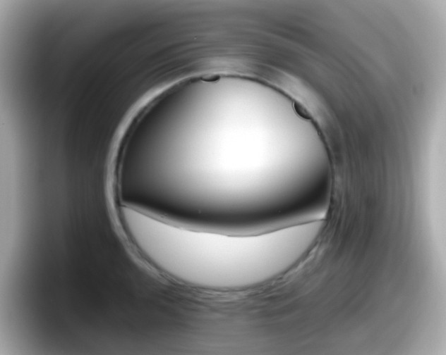 X0000098101136200804111017