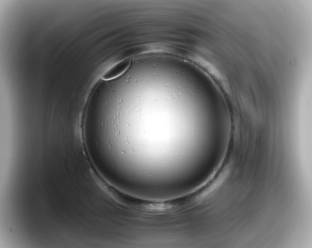 X0000098101137200804111017