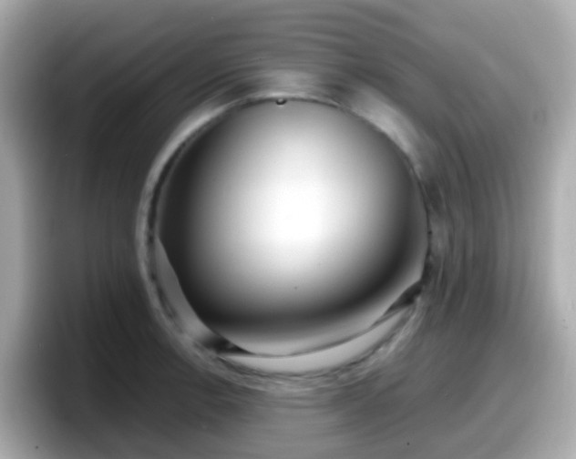 X0000098101138200804111017