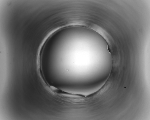 X0000098101140200804111017