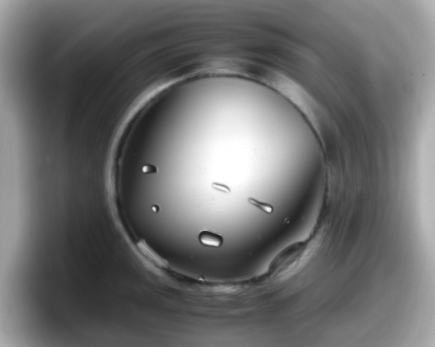 X0000098101141200804111017