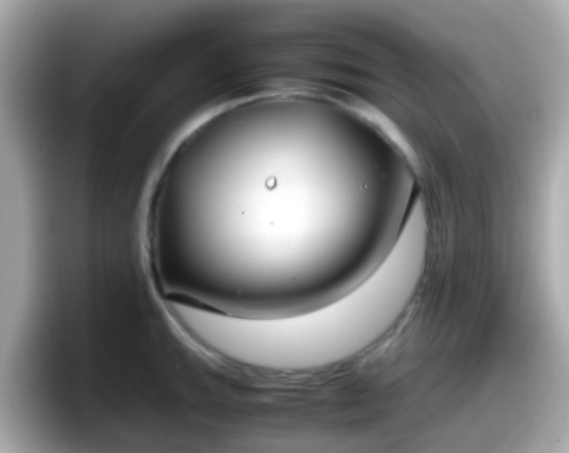 X0000098101143200804111017