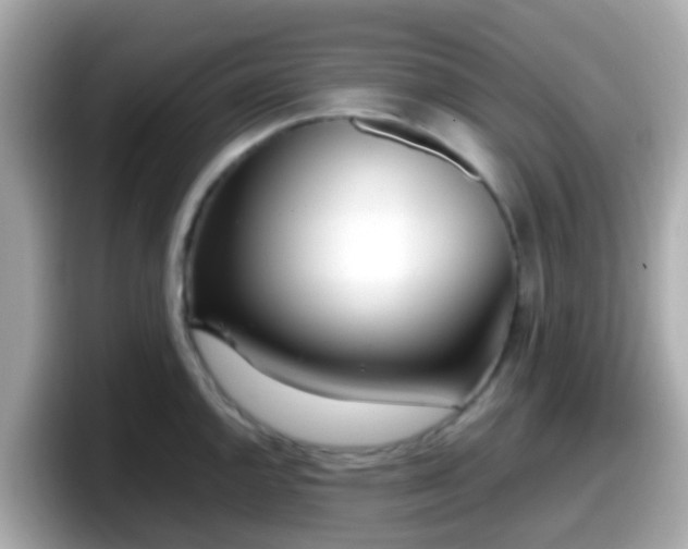 X0000098101144200804111017