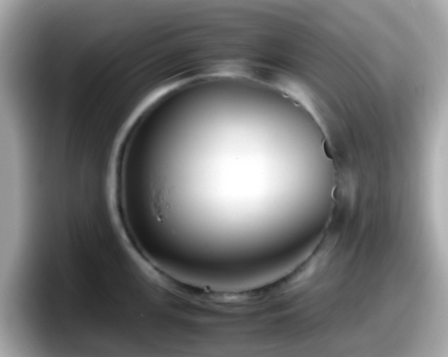 X0000098101147200804111017