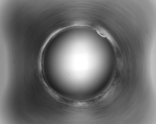 X0000098101148200804111017