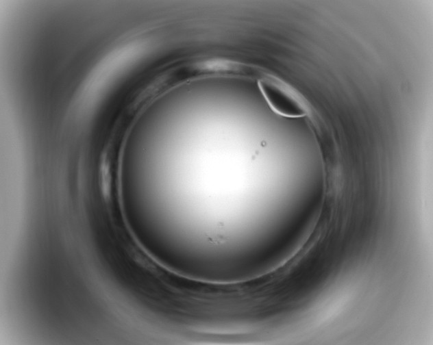 X0000098101151200804111017