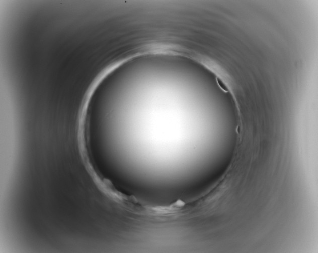 X0000098101152200804111017