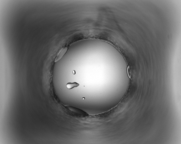 X0000098101153200804111017