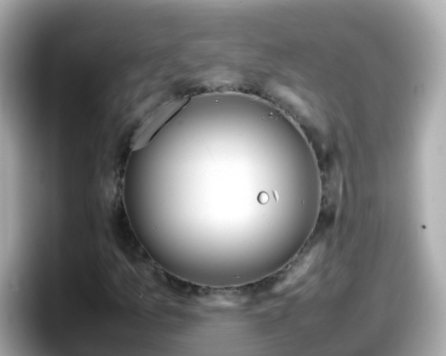 X0000098101157200804111017