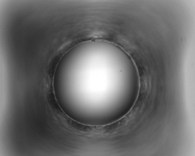 X0000098101158200804111017