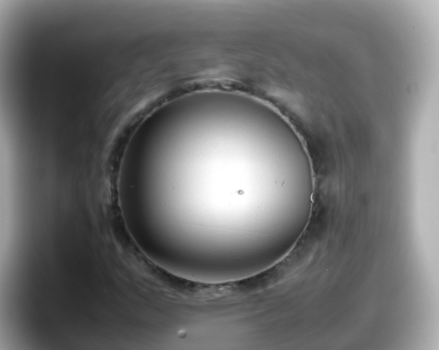 X0000098101159200804111017
