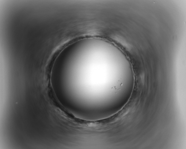 X0000098101160200804111017