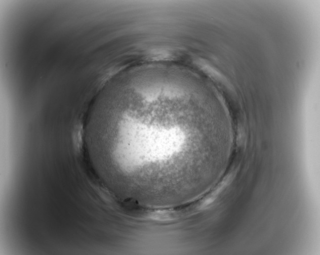 X0000098101161200804111017