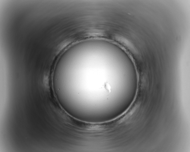 X0000098101162200804111017