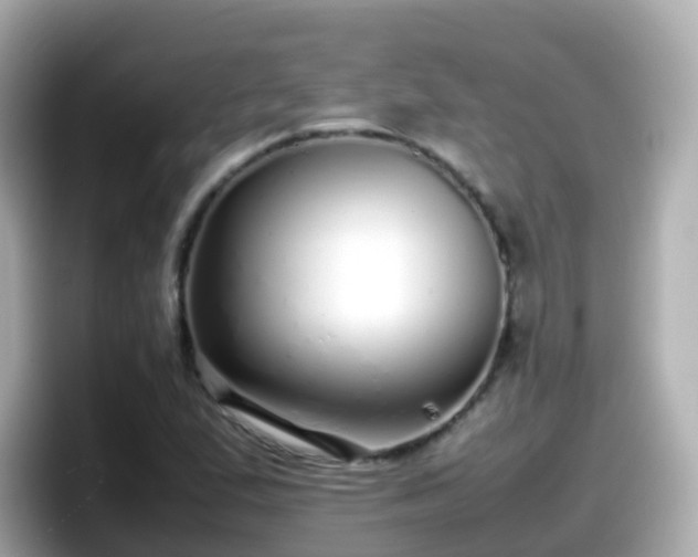X0000098101167200804111017