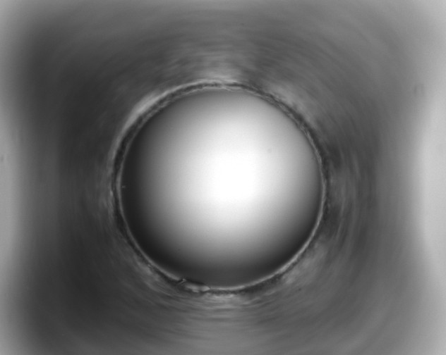 X0000098101168200804111017