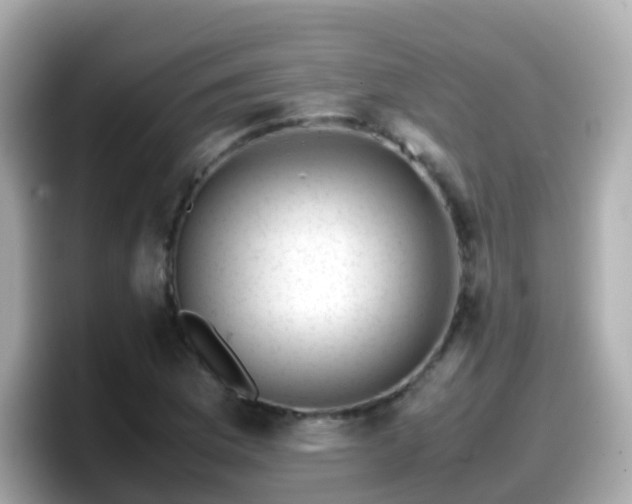 X0000098101169200804111017