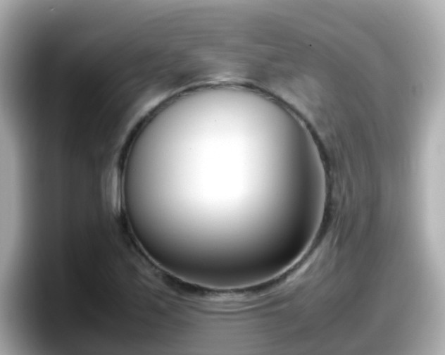 X0000098101171200804111017