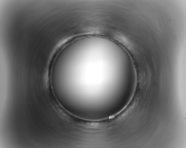 X0000098101172200804111017